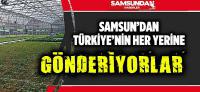 SAMSUN'DAN TÜRKİYE'NİN HER YERİNE GÖNDERİYORLAR