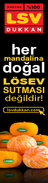 sol dik reklam