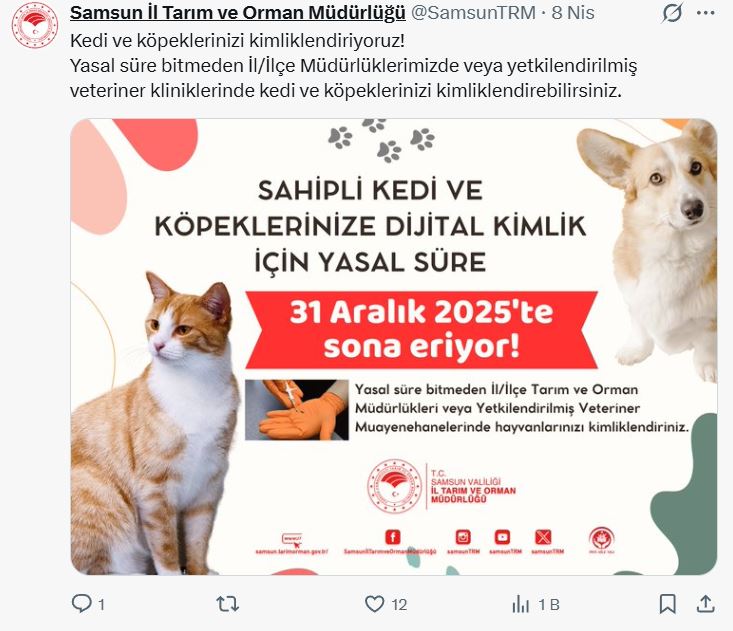 Galeri resmi 1