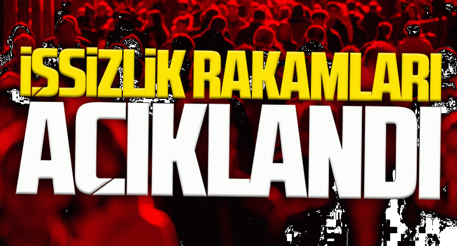 Türkiye’de İşsizlik Oranı Eylülde Değişmedi