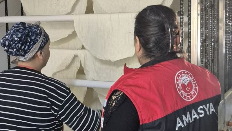 Amasya’da Gıda Güvenliği İçin Eğitim Destekli Çapraz Denetim