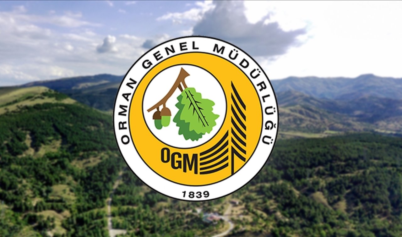ORMAN GENEL MÜFÜRLÜĞÜ 496 PERSONEL ALIMI BAŞVURULARI BAŞLADI 