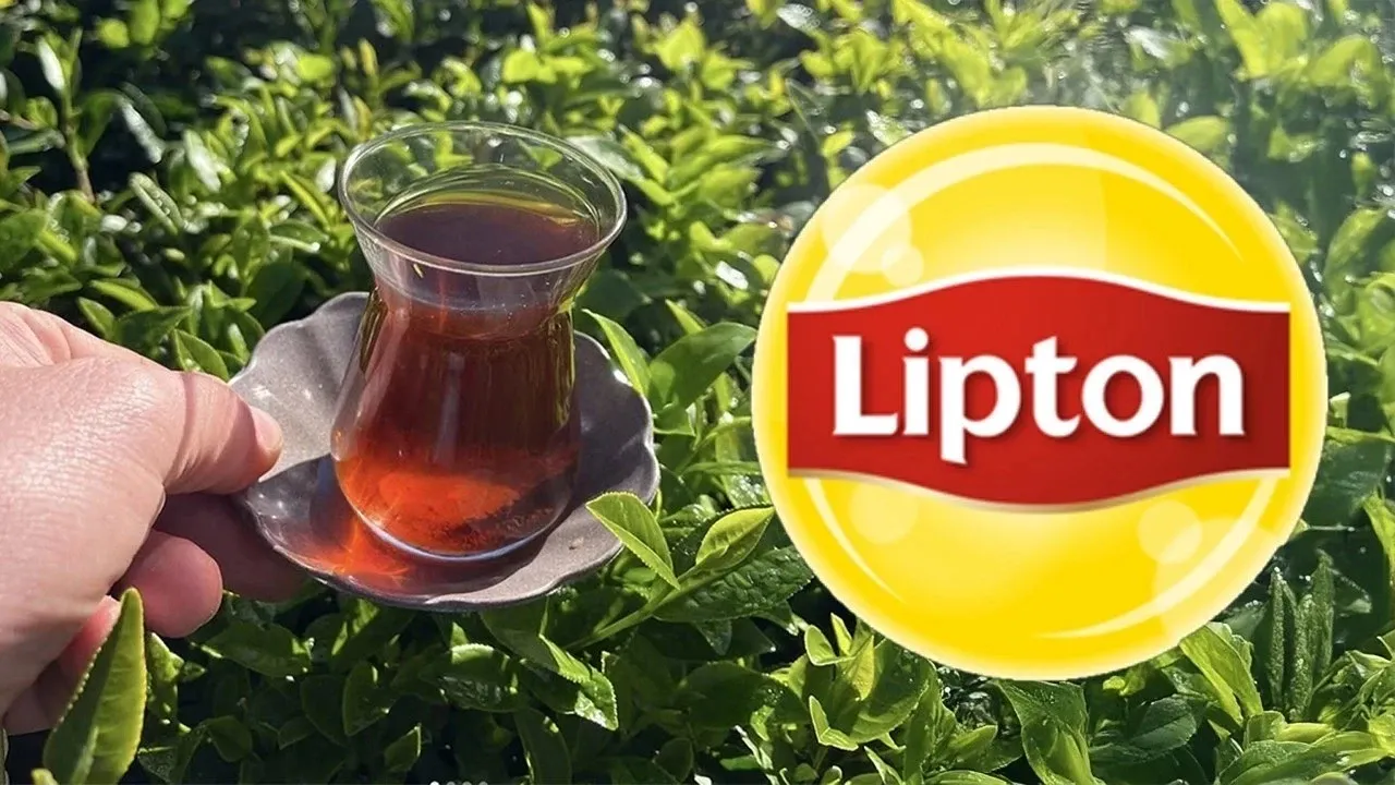 BIR DEVIR SONA ERDI LIPTON DEVRETTI 