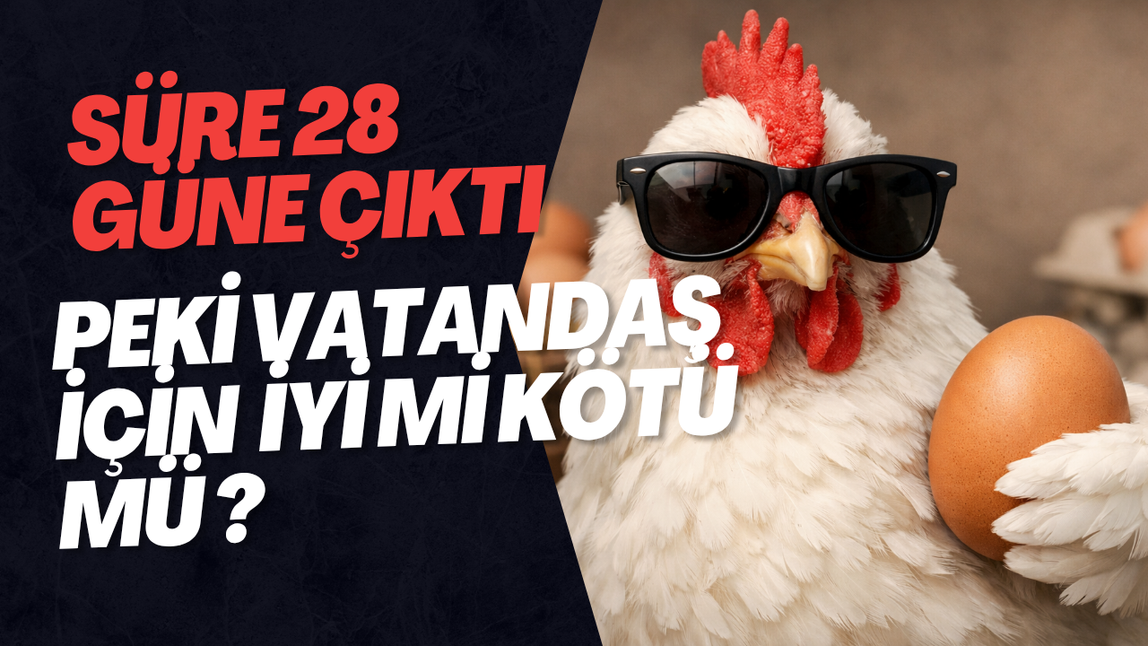 Yumurtada Yeni Düzenleme: Raf Ömrü 28 Güne Çıkarıldı