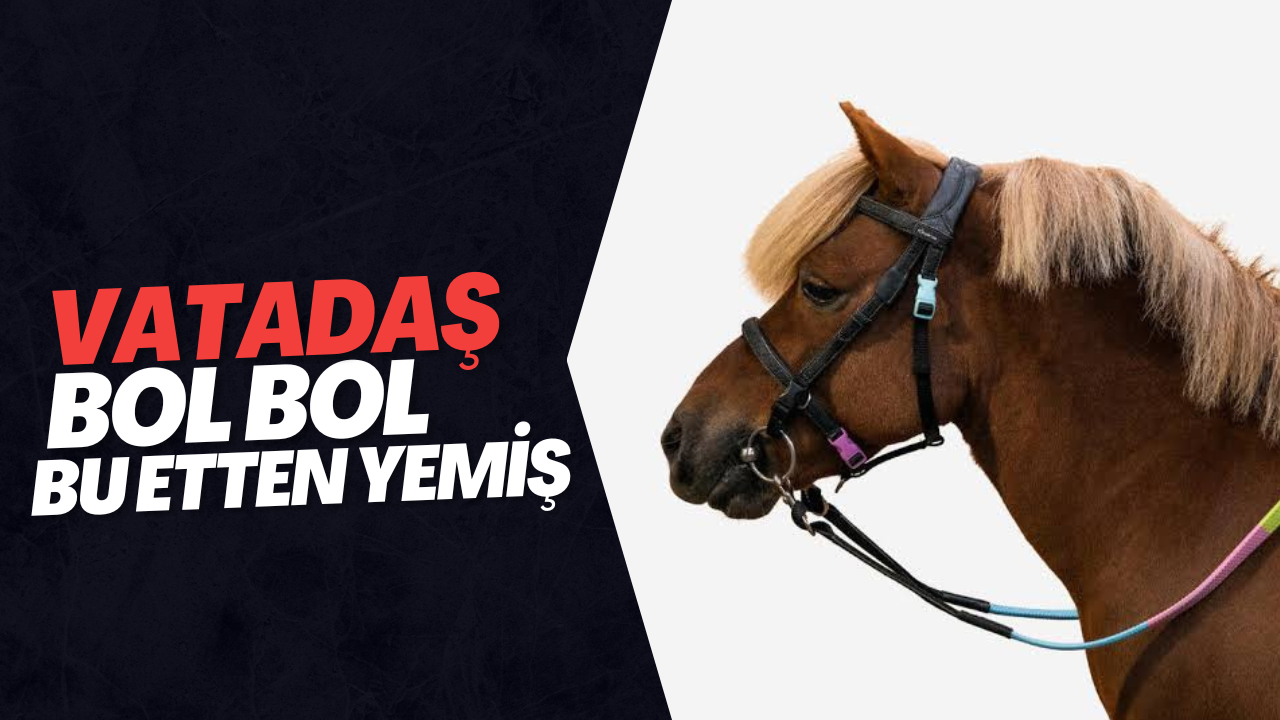 Et Ürünlerinde Tek Tırnaklı Eti Skandalı: Dana Diye At Eti Satılmış