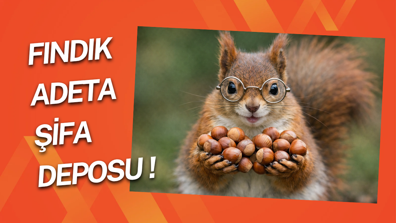 karadeniz fındığı sağlık deposu