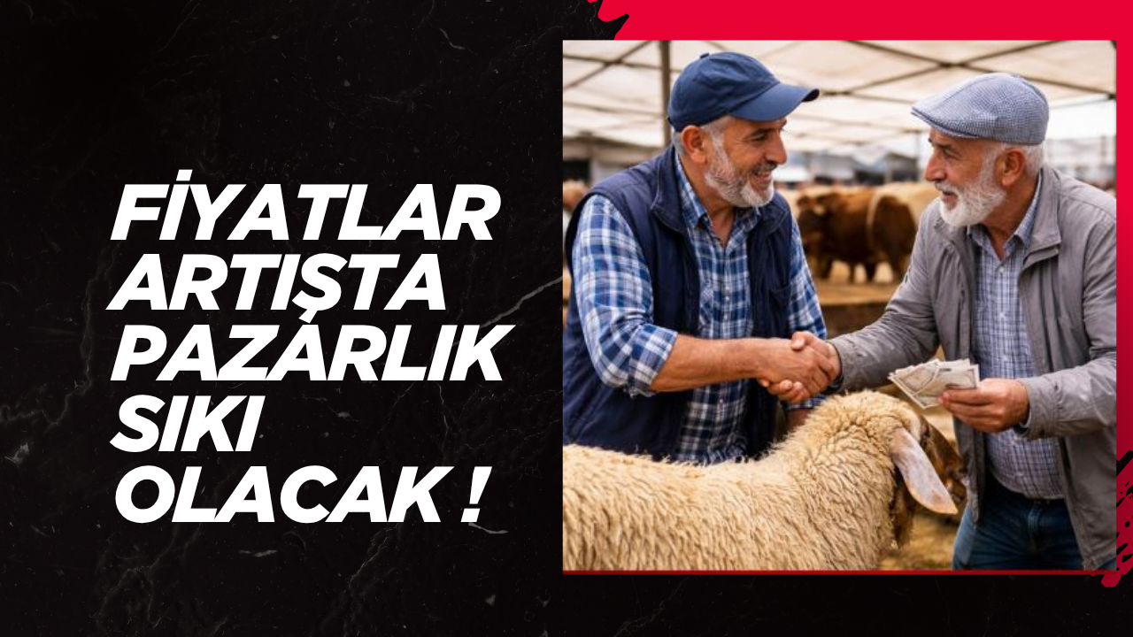 Kurban Bayramı’na sayılı haftalar kala kurbanlık piyasasında hareketlilik erken başladı.