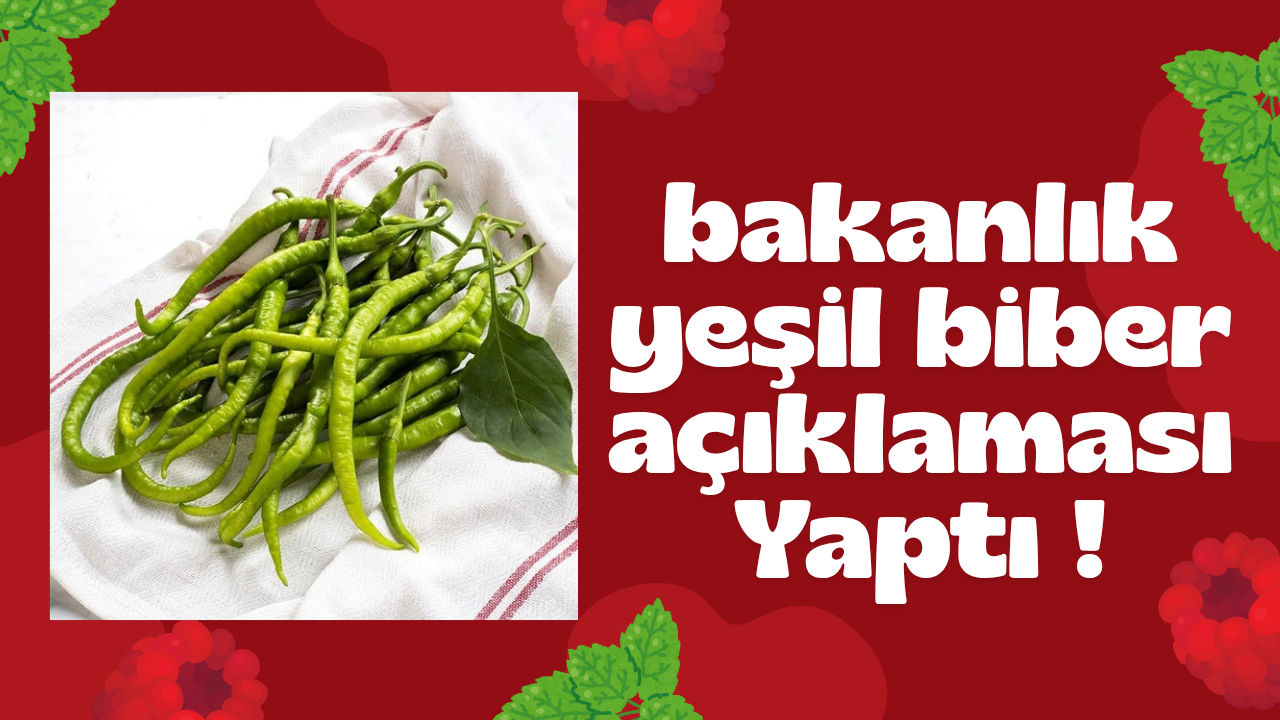 Bakanlık duyurdu