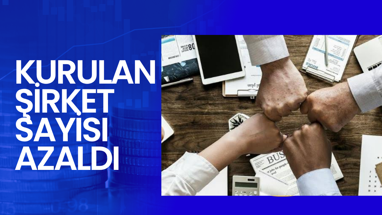 Kurulan şirket sayisı azaldı 