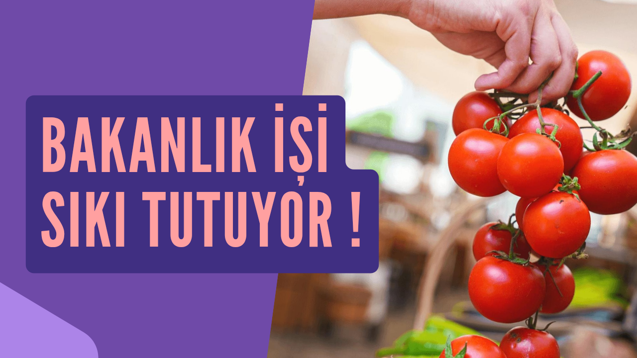 Firsarcilara geçit yok