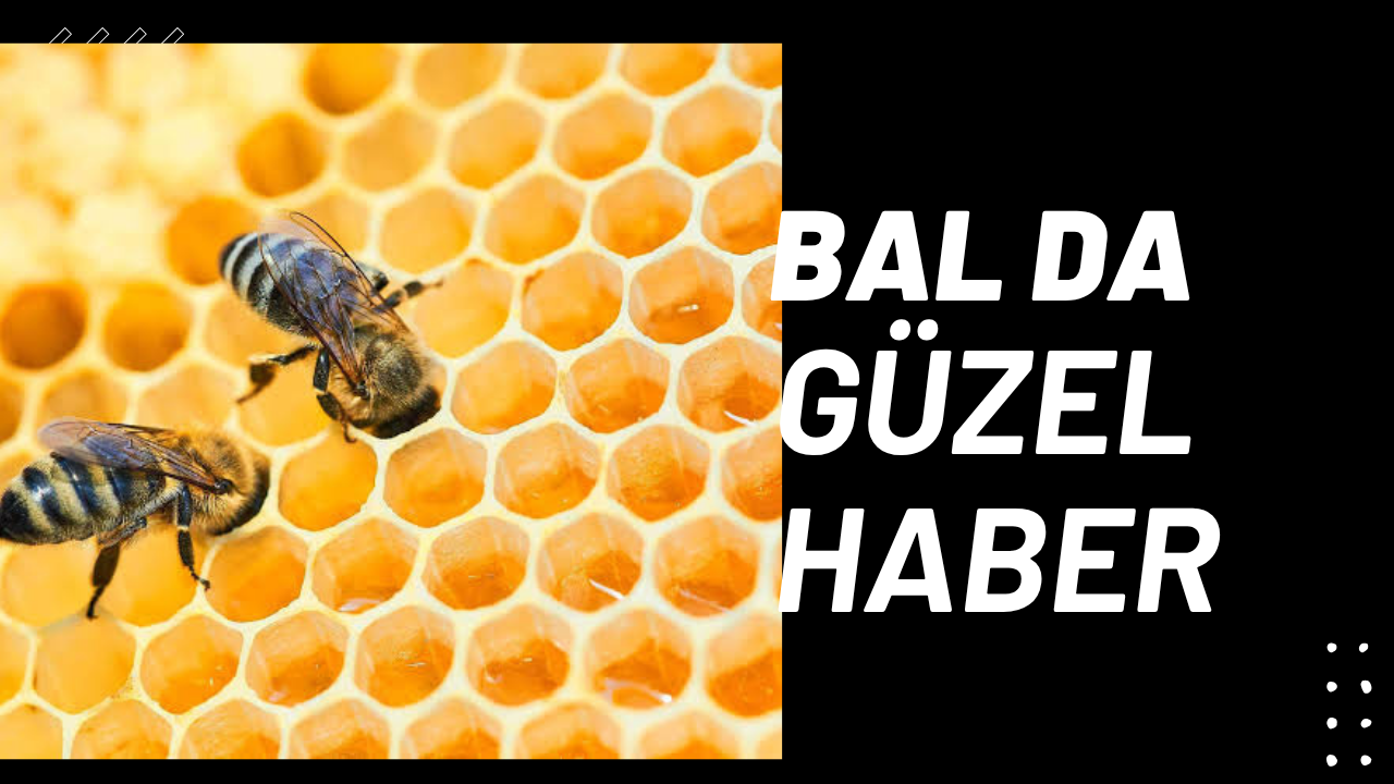 Bal da güzel haber