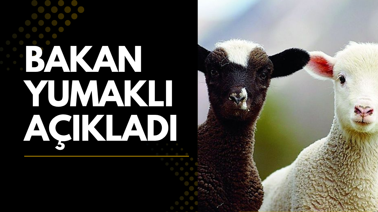 Kırsalda Bereket Küçükbaşa Destek Projesi”nin detaylarını açıkladındı