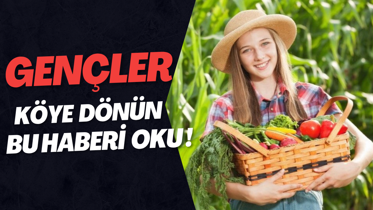 yeni model, “maaşlı çiftçilik” sistemiyle Türkiye’de tarım sektöründe köklü bir dönüşümün kapısını aralıyor