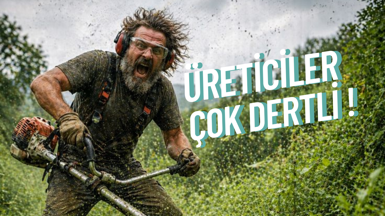 FINDIK ÜRETİCİSİ DERTLİ 