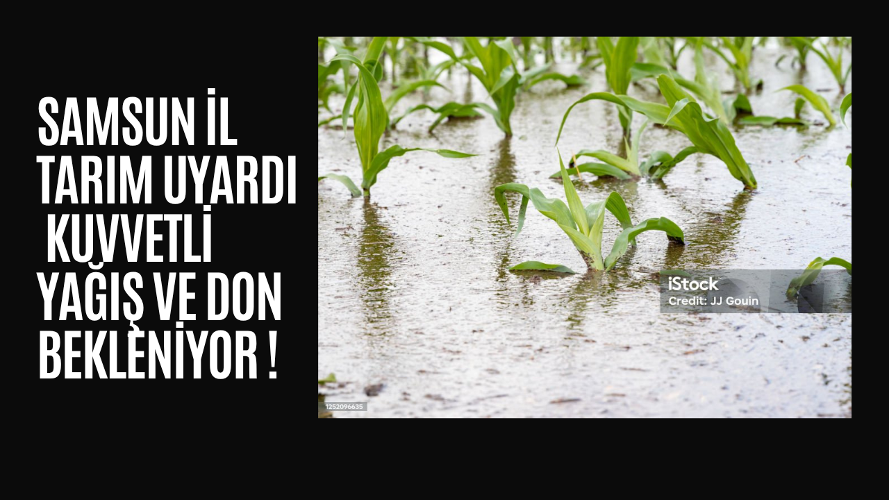 KUVVETLİ YAĞIŞ VE DON BEKLENİYOR