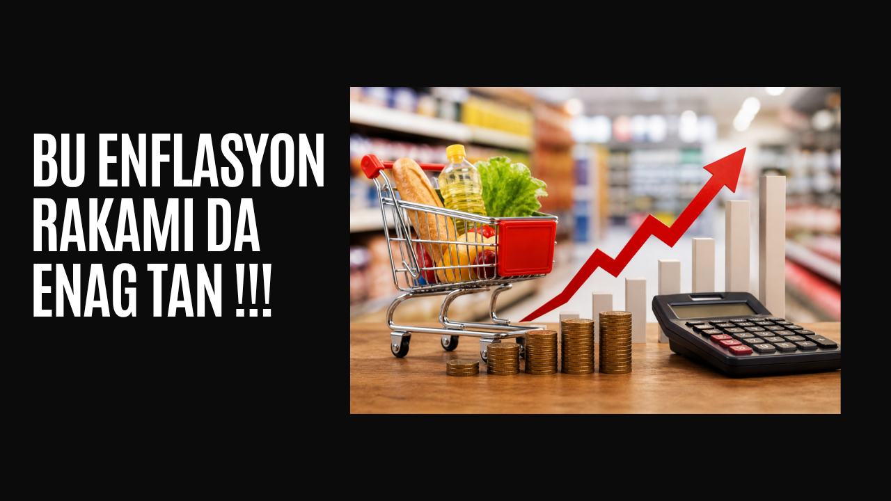 BU DA ENAG VERİLERİ 