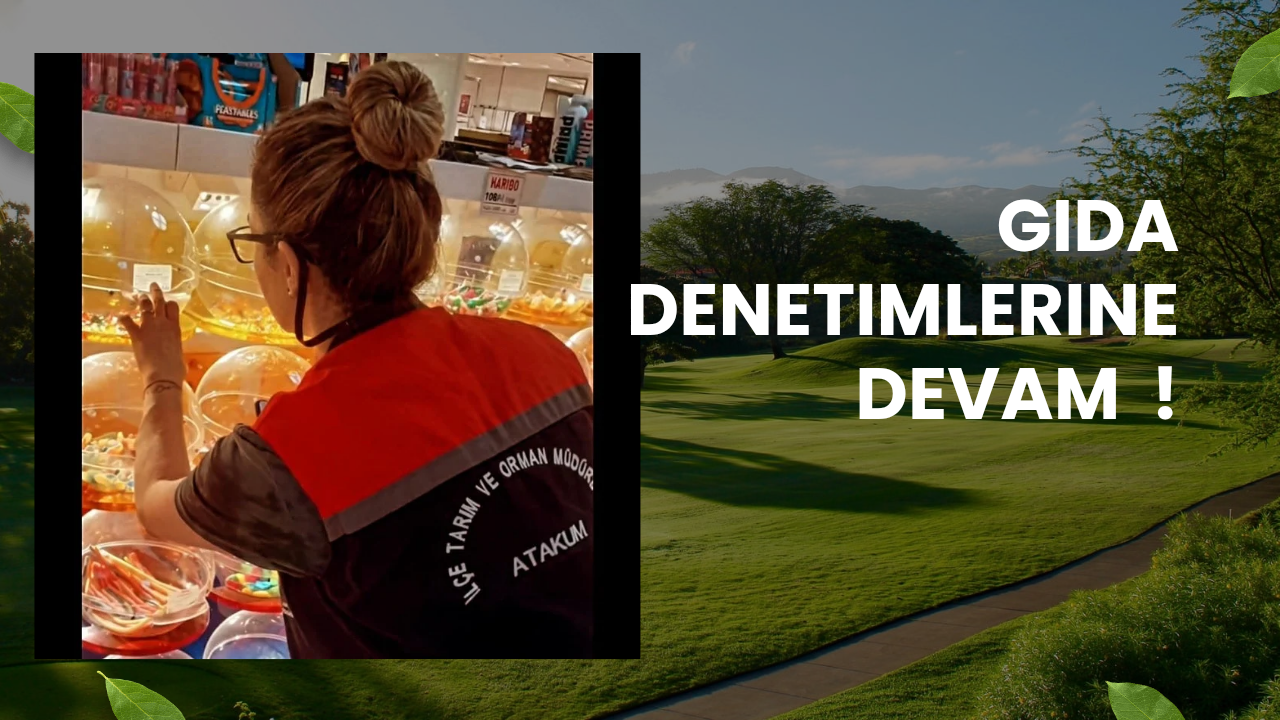 Gida denetimleri devam ediyor