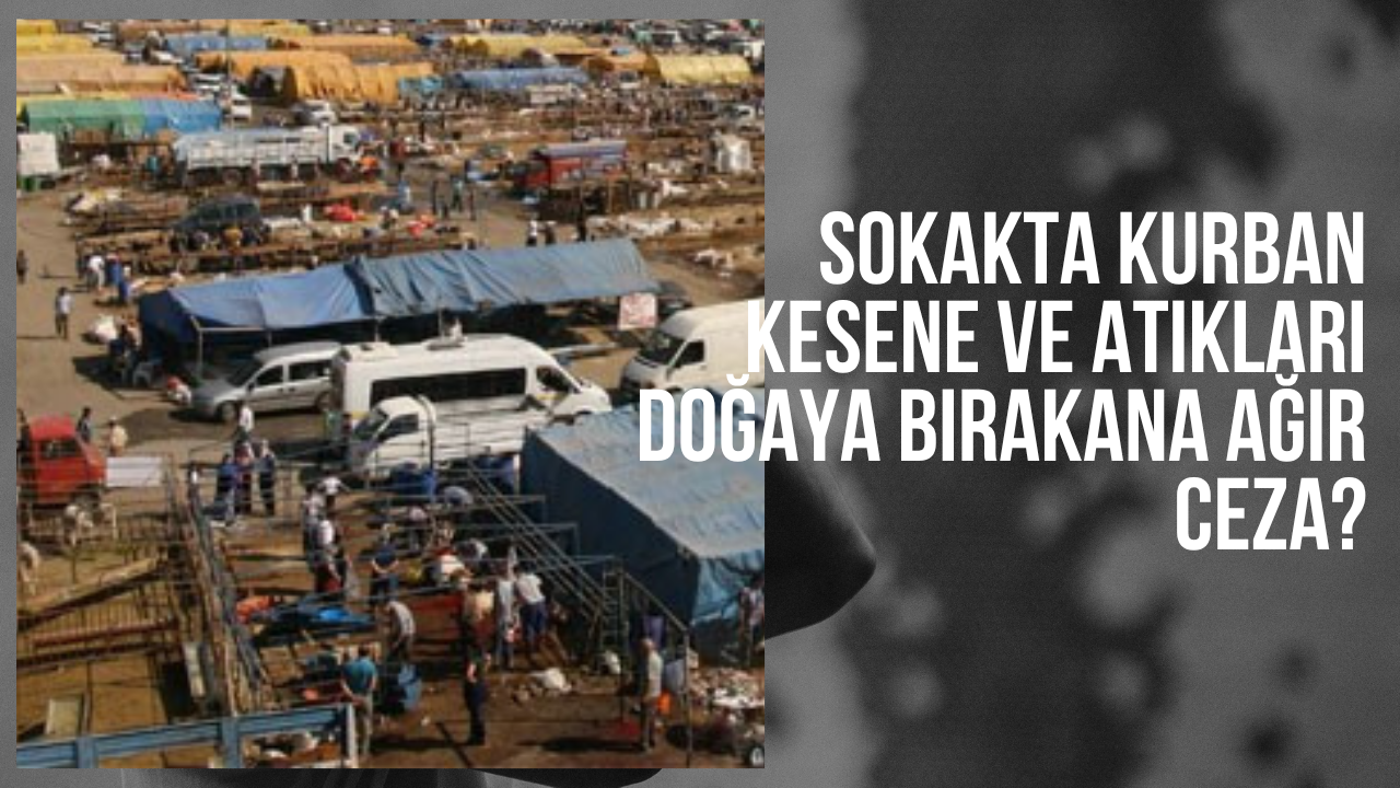 Kurban Bayramı Öncesi Uyarı: Sokakta Kurban Kesene ve Atıkları Doğaya Bırakana Ağır Ceza