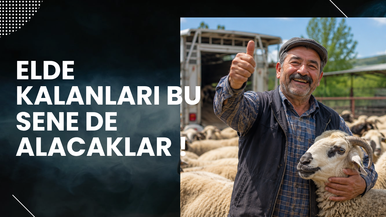 HER SENE OLDUGU GIBI BU SENE DE GEREKEN YAPILACAK