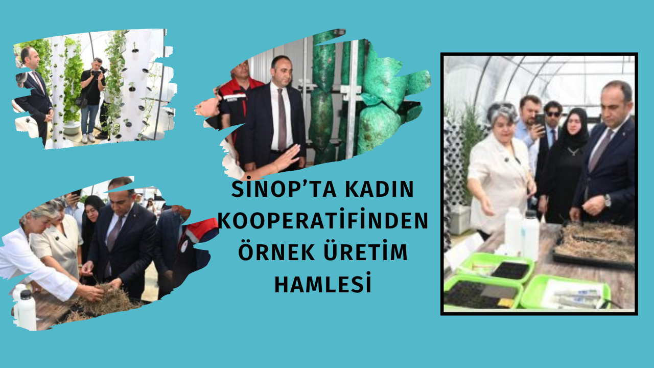 Sinop’ta Kadın Kooperatifinden Örnek Üretim Hamlesi