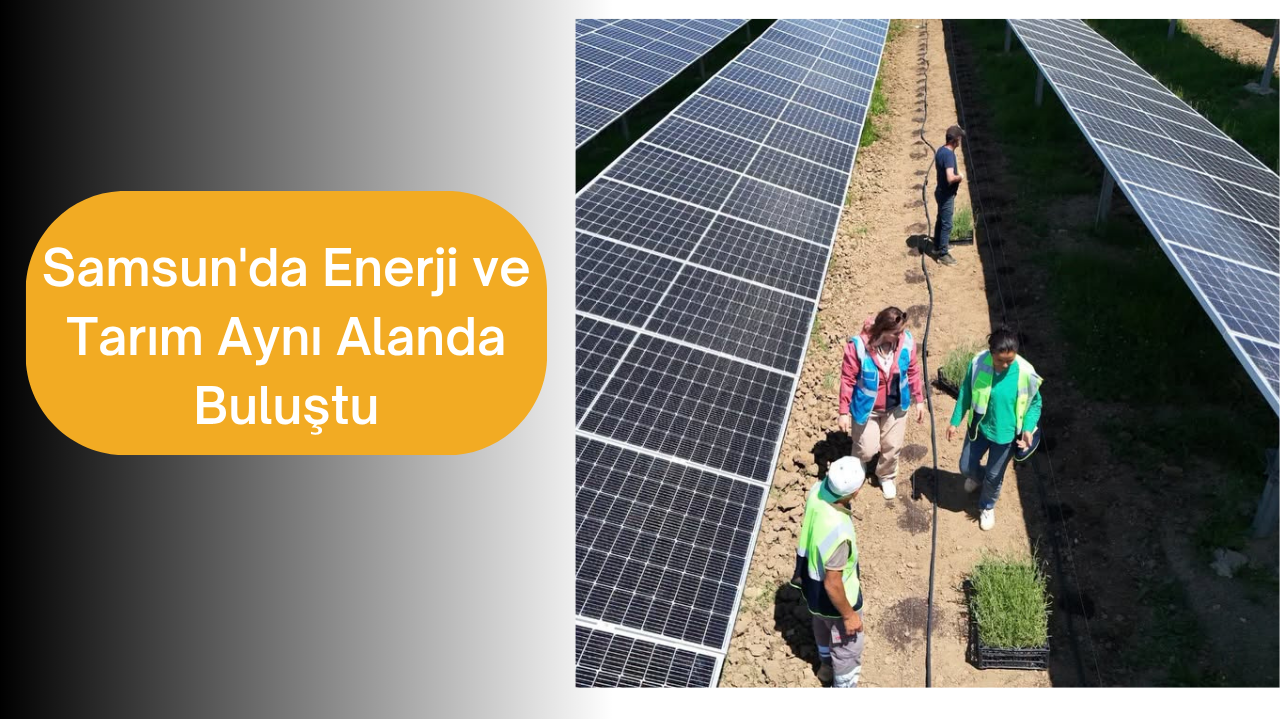 Samsun'da Enerji ve Tarım Aynı Alanda Buluştu