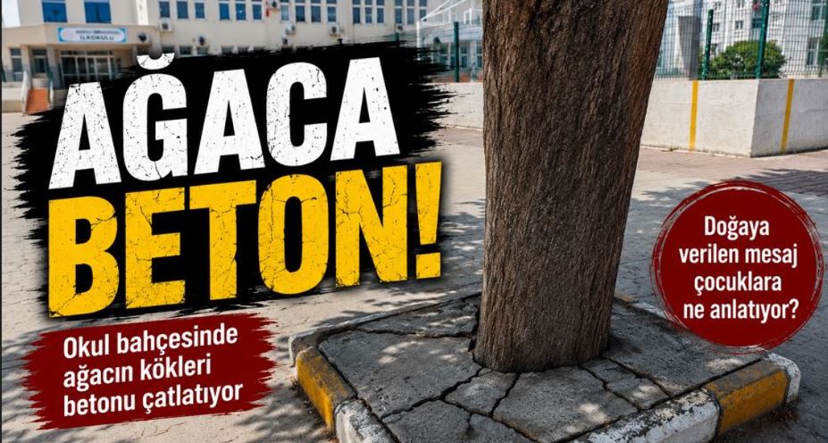OKUL BAHÇESİN DE  AĞACA BETON 