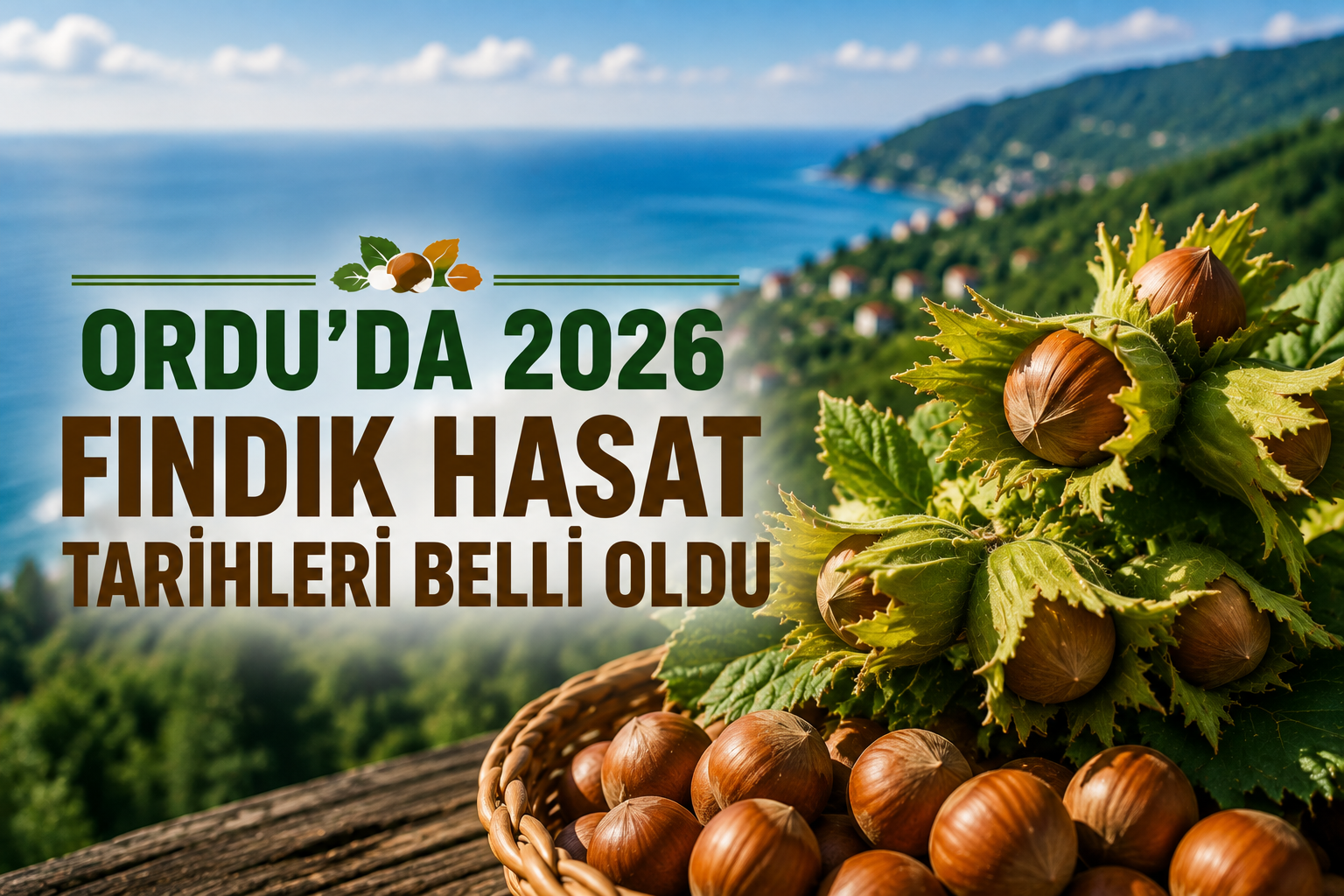 FINDIK HASAT TARİHİ BELLİ OLDU